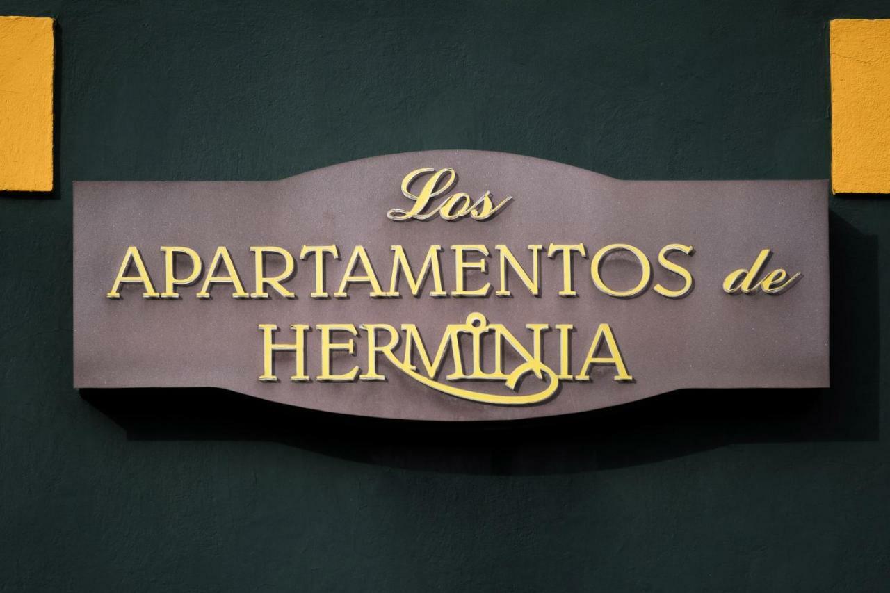 Apartamentos De Herminia Manzaneda  Εξωτερικό φωτογραφία
