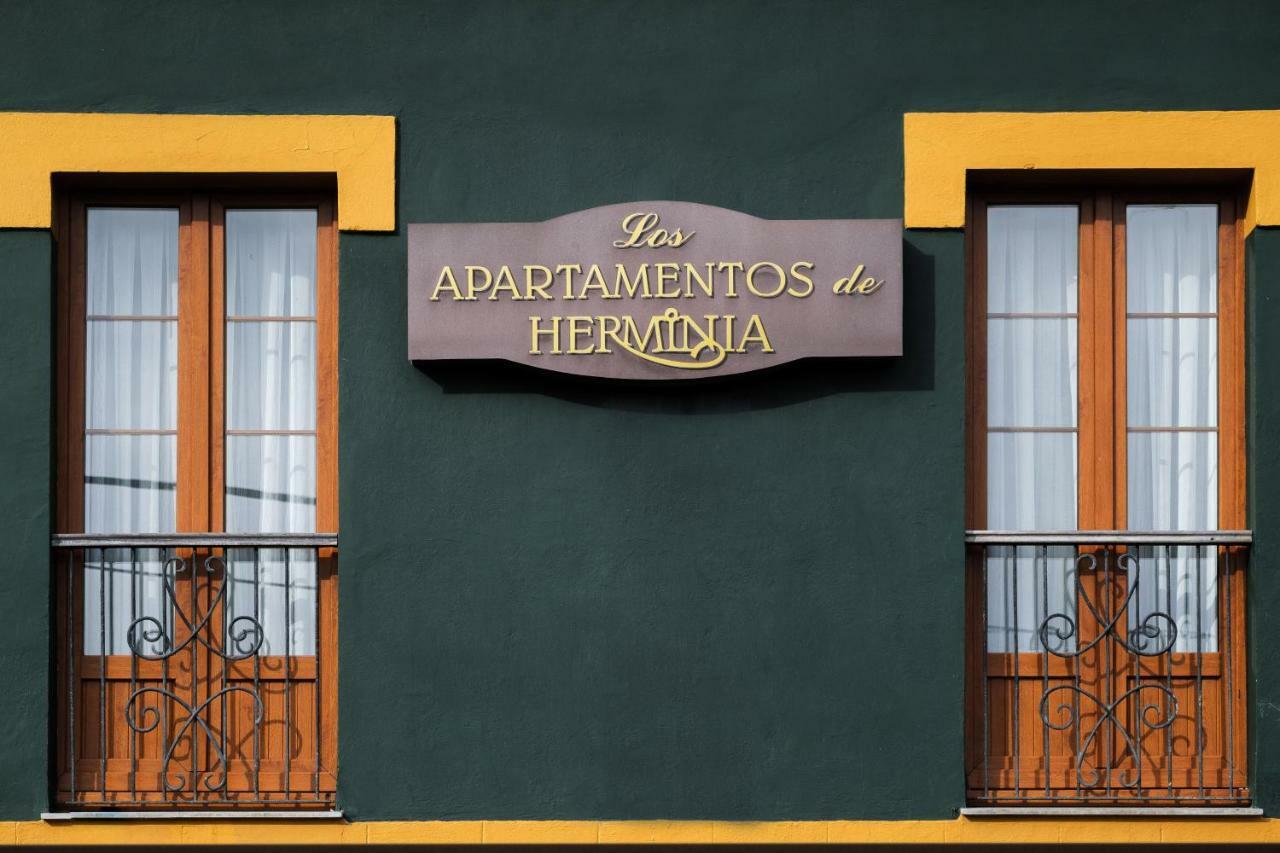 Apartamentos De Herminia Manzaneda  Εξωτερικό φωτογραφία